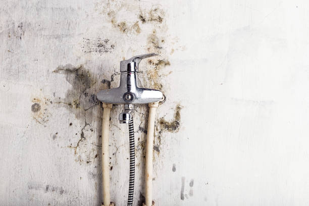Best Local Mold Removal Service  in Keuka Park, NY
