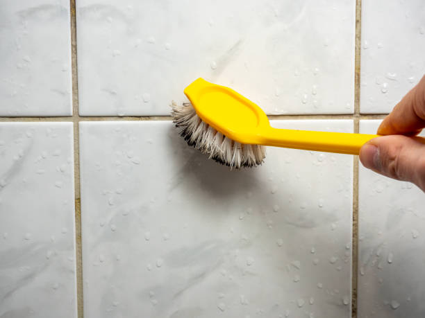 Best Office Mold Removal Services  in Keuka Park, NY