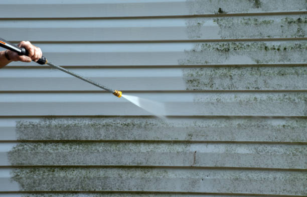 Best Attic Mold Removal  in Keuka Park, NY
