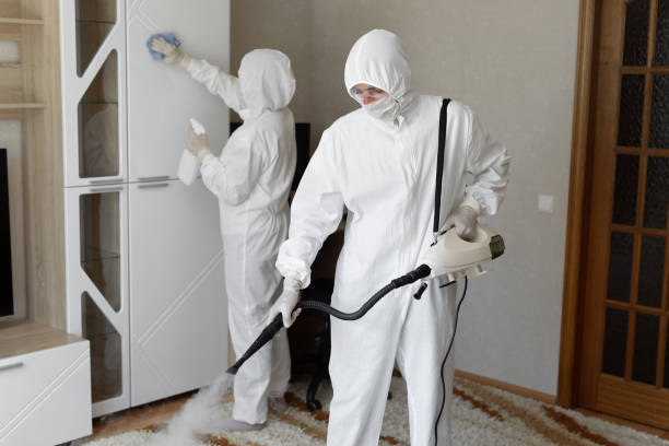 Best Residential Mold Removal  in Keuka Park, NY
