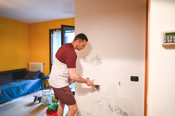 Professional Mold Removal in Keuka Park, NY